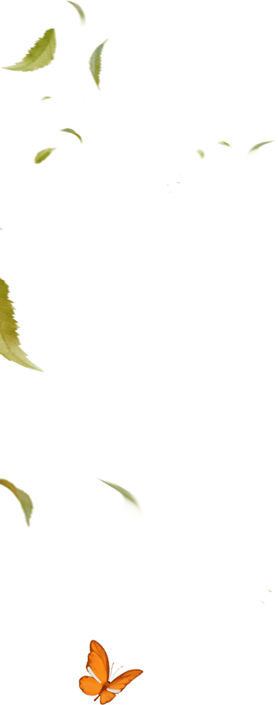 wind-left